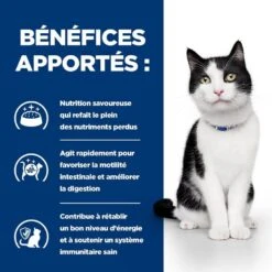 Hill's Prescription Diet Feline I/D AB+ Poulet BOITES 24 X 156 Grs -Animaux Fournitures Magasin 00052742039893 4 prescription diet chat i d boite