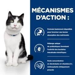 Hill's Prescription Diet Feline I/D AB+ Poulet BOITES 24 X 156 Grs -Animaux Fournitures Magasin 00052742039893 5 prescription diet chat i d boite