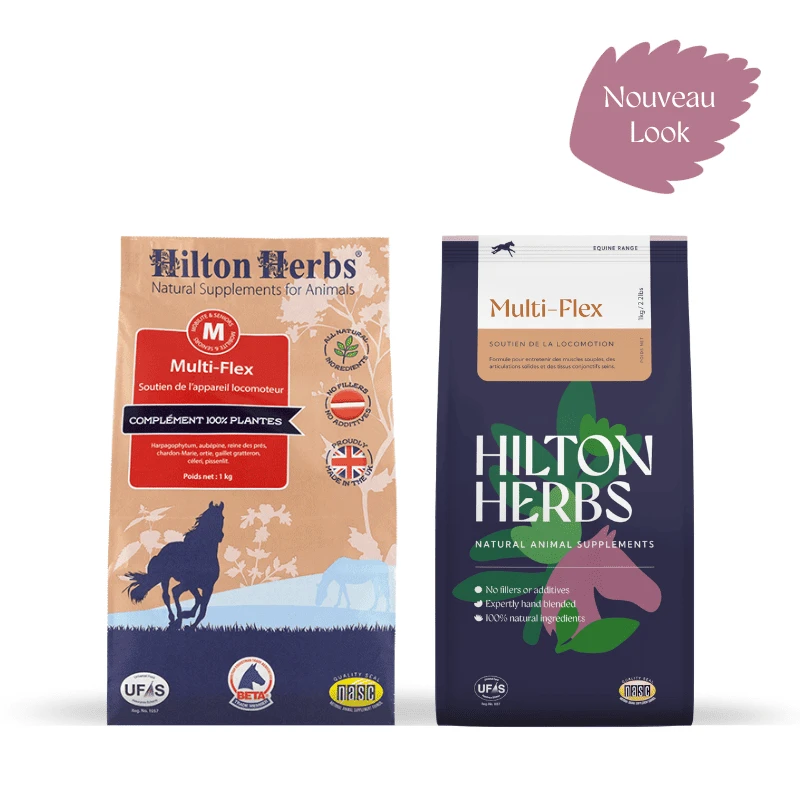 Hilton Herbs Multiflex Articulations Cheval 1 Kg 4 Hilton Herbs Multiflex Articulations Cheval 1 Kg – Image 2