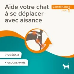 Beaphar Flexifit Friandises Articulations Chat 150 G 12 Beaphar Flexifit Friandises Articulations Chat 150 G -Animaux Fournitures Magasin 1000067 ecommerce flexifit bits fr 2024 3 02 1 1