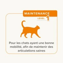 Beaphar Flexifit Friandises Articulations Chat 150 G 11 Beaphar Flexifit Friandises Articulations Chat 150 G -Animaux Fournitures Magasin 1000067 ecommerce flexifit bits fr 2024 4 1 1