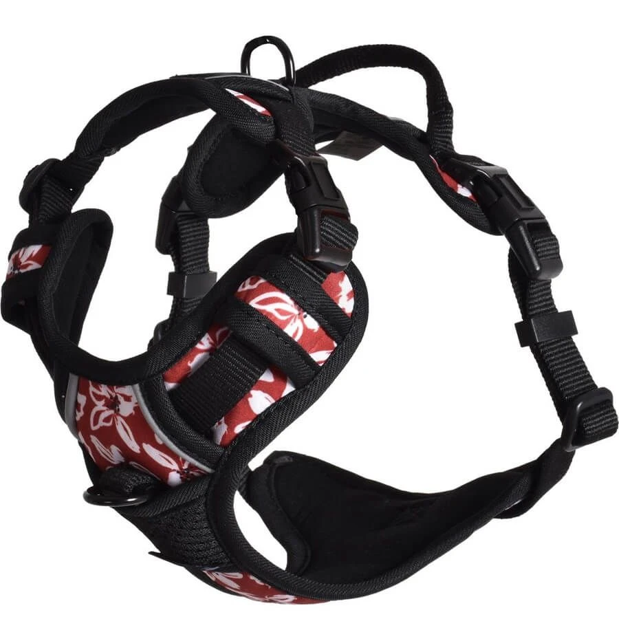 Bobby Harnais Rando Monoi Pour Chat Bordeaux S 4 Bobby Harnais Rando Monoi Pour Chat Bordeaux S – Image 2