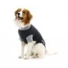 Buster Body Suit Chien XL 2 Buster Body Suit Chien XL -Animaux Fournitures Magasin 1 8 1 1 1 1 1 1