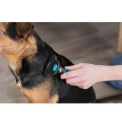 Trixie Brosse Carde Chien 7 X 15 Cm 7 Trixie Brosse Carde Chien 7 X 15 Cm -Animaux Fournitures Magasin 260940 pho pro use 24171 1