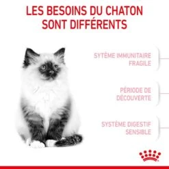 Royal Canin Féline Health Nutrition Kitten Second Age 4 Kg 15 Royal Canin Féline Health Nutrition Kitten Second Age 4 Kg -Animaux Fournitures Magasin 3182550702447 3