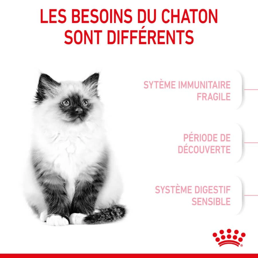 Royal Canin Féline Health Nutrition Kitten Second Age 4 Kg 6 Royal Canin Féline Health Nutrition Kitten Second Age 4 Kg – Image 4