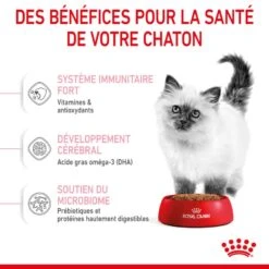 Royal Canin Féline Health Nutrition Kitten Second Age 4 Kg 16 Royal Canin Féline Health Nutrition Kitten Second Age 4 Kg -Animaux Fournitures Magasin 3182550702447 4