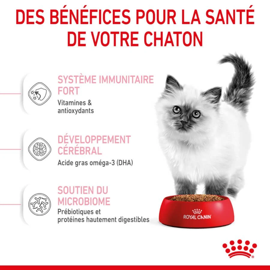 Royal Canin Féline Health Nutrition Kitten Second Age 4 Kg 7 Royal Canin Féline Health Nutrition Kitten Second Age 4 Kg – Image 5