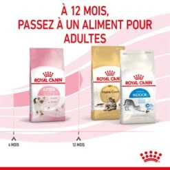 Royal Canin Féline Health Nutrition Kitten Second Age 4 Kg 18 Royal Canin Féline Health Nutrition Kitten Second Age 4 Kg -Animaux Fournitures Magasin 3182550702447 6