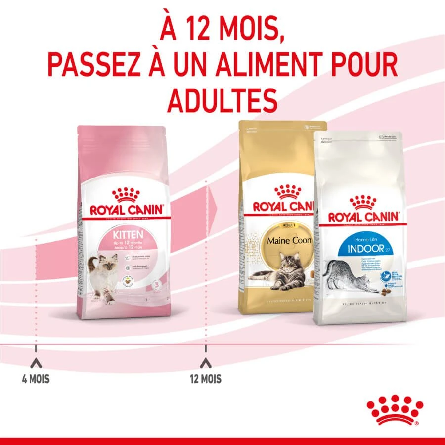 Royal Canin Féline Health Nutrition Kitten Second Age 4 Kg 9 Royal Canin Féline Health Nutrition Kitten Second Age 4 Kg – Image 7