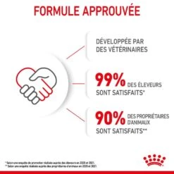 Royal Canin Féline Health Nutrition Kitten Second Age 4 Kg 19 Royal Canin Féline Health Nutrition Kitten Second Age 4 Kg -Animaux Fournitures Magasin 3182550702447 7