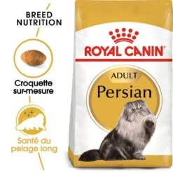 Royal Canin Persian Adult 10 Kg 11 Royal Canin Persian Adult 10 Kg -Animaux Fournitures Magasin 3182550702607 1 2