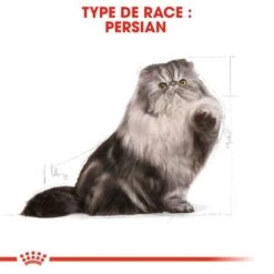 Royal Canin Persian Adult 10 Kg 14 Royal Canin Persian Adult 10 Kg -Animaux Fournitures Magasin 3182550702607 5 2