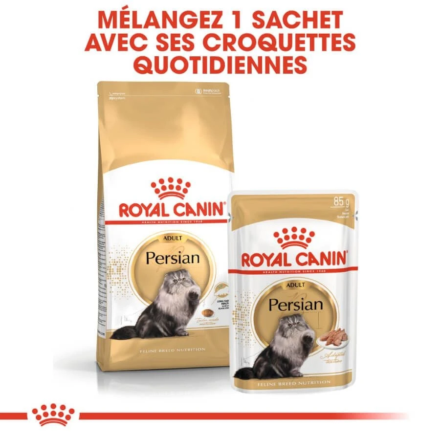 Royal Canin Persian Adult 10 Kg 8 Royal Canin Persian Adult 10 Kg – Image 6