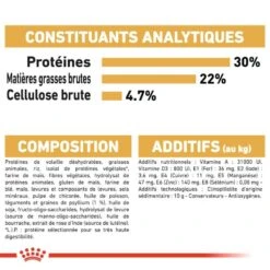 Royal Canin Persian Adult 10 Kg 17 Royal Canin Persian Adult 10 Kg -Animaux Fournitures Magasin 3182550702607 8 2