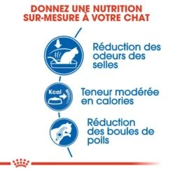 Royal Canin Indoor 27 - 2 Kg 12 Royal Canin Indoor 27 - 2 Kg -Animaux Fournitures Magasin 3182550706940 3