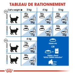 Royal Canin Indoor 27 - 2 Kg 16 Royal Canin Indoor 27 - 2 Kg -Animaux Fournitures Magasin 3182550706940 7