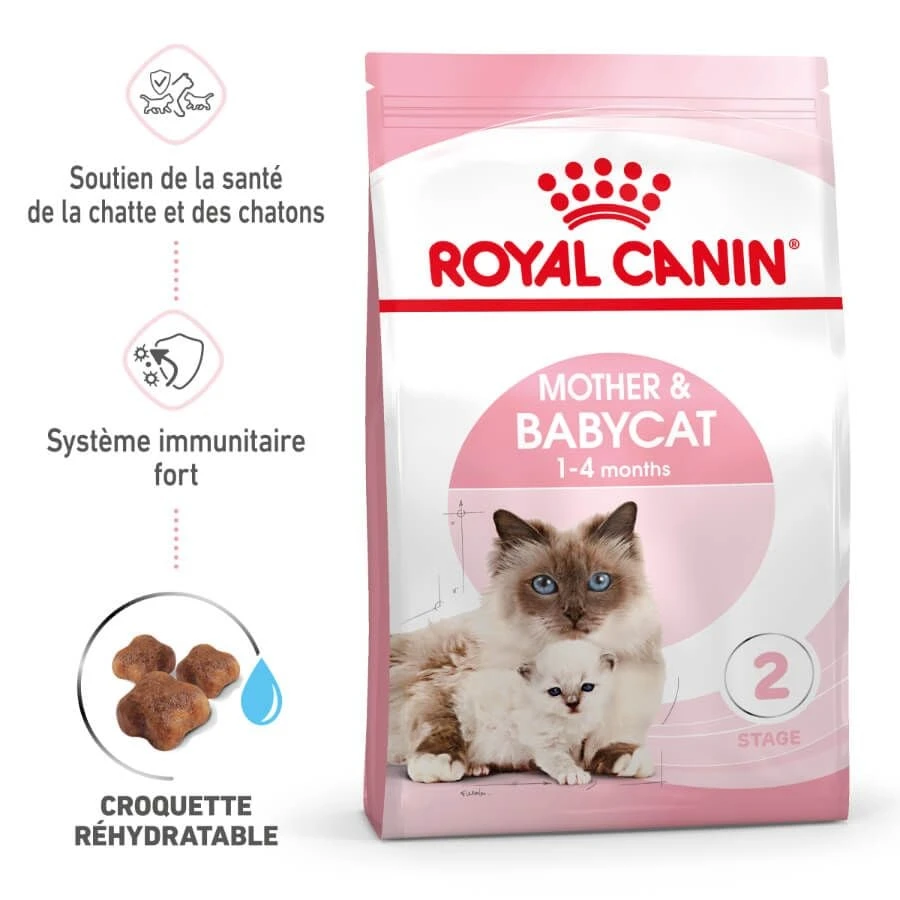 Royal Canin Feline Health Nutrition Mother & Babycat 2 Kg 4 Royal Canin Feline Health Nutrition Mother & Babycat 2 Kg – Image 2