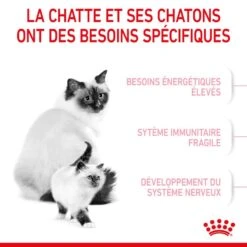 Royal Canin Feline Health Nutrition Mother & Babycat 2 Kg 15 Royal Canin Feline Health Nutrition Mother & Babycat 2 Kg -Animaux Fournitures Magasin 3182550707312 3