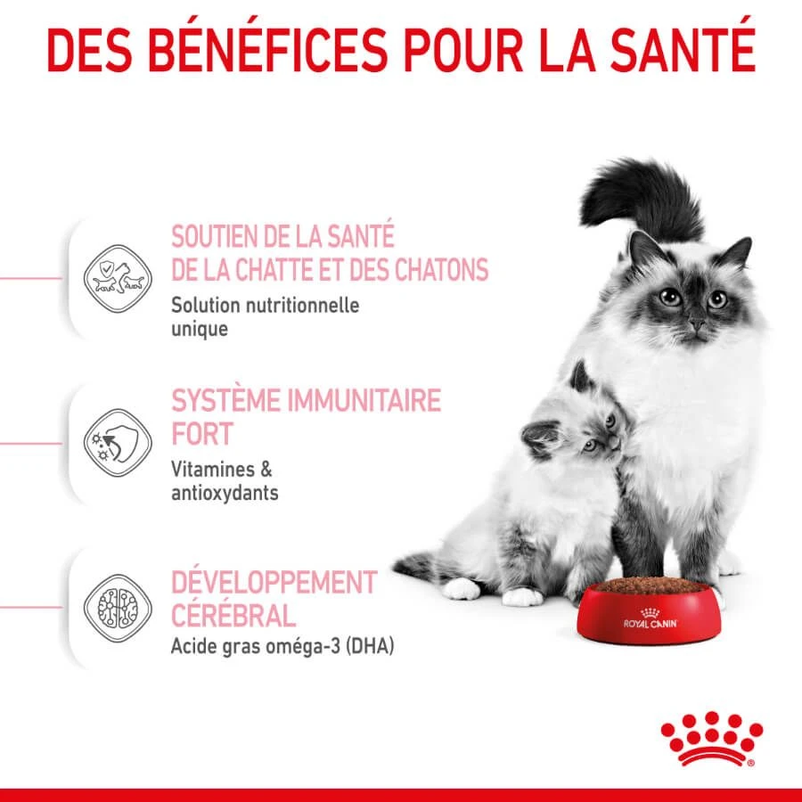 Royal Canin Feline Health Nutrition Mother & Babycat 2 Kg 7 Royal Canin Feline Health Nutrition Mother & Babycat 2 Kg – Image 5