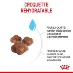 Royal Canin Feline Health Nutrition Mother & Babycat 2 Kg 17 Royal Canin Feline Health Nutrition Mother & Babycat 2 Kg -Animaux Fournitures Magasin 3182550707312 5