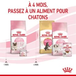 Royal Canin Feline Health Nutrition Mother & Babycat 2 Kg 18 Royal Canin Feline Health Nutrition Mother & Babycat 2 Kg -Animaux Fournitures Magasin 3182550707312 6