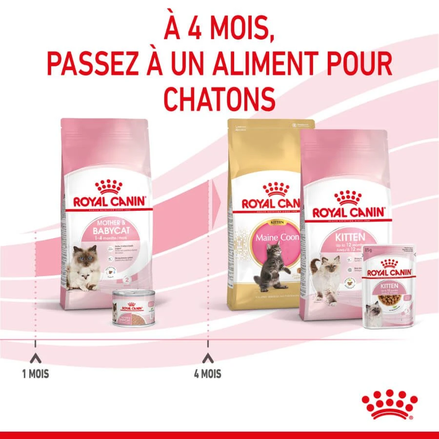 Royal Canin Feline Health Nutrition Mother & Babycat 2 Kg 9 Royal Canin Feline Health Nutrition Mother & Babycat 2 Kg – Image 7