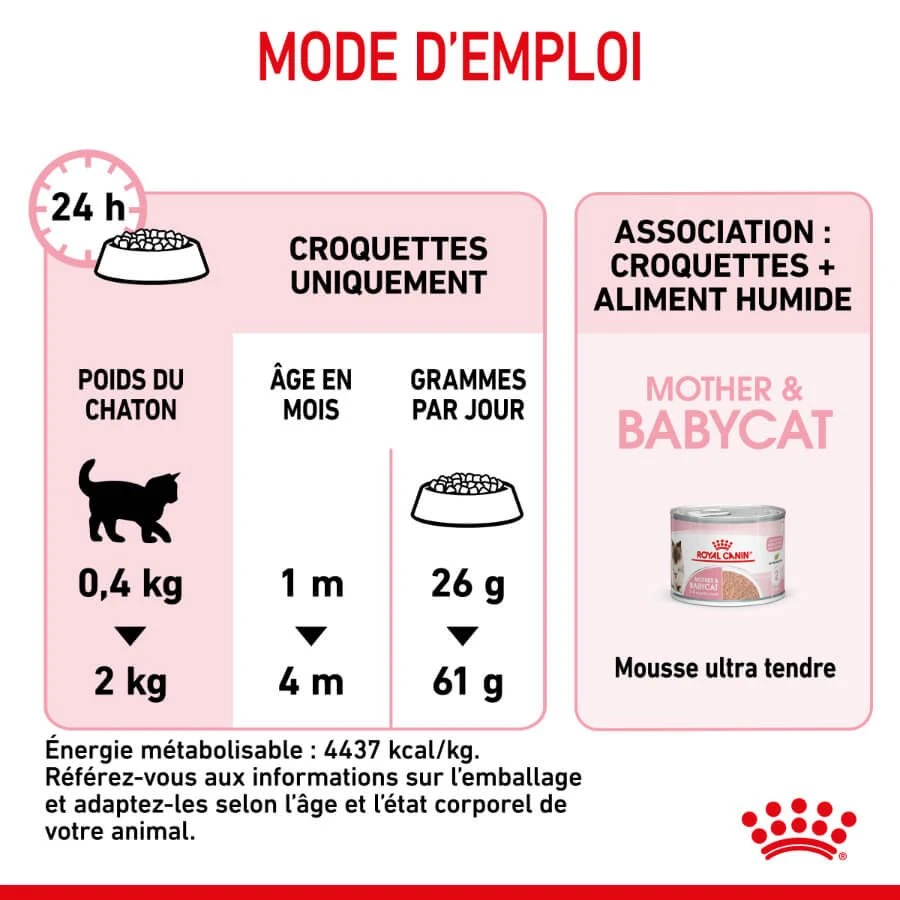 Royal Canin Feline Health Nutrition Mother & Babycat 2 Kg 11 Royal Canin Feline Health Nutrition Mother & Babycat 2 Kg – Image 9