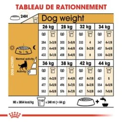 Royal Canin Berger Allemand Adult 11 Kg 14 Royal Canin Berger Allemand Adult 11 Kg -Animaux Fournitures Magasin 3182550715737 6 1