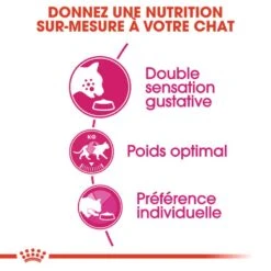 Royal Canin Féline Health Nutrition Savour Exigent 2 Kg -Animaux Fournitures Magasin 3182550717120 3 1