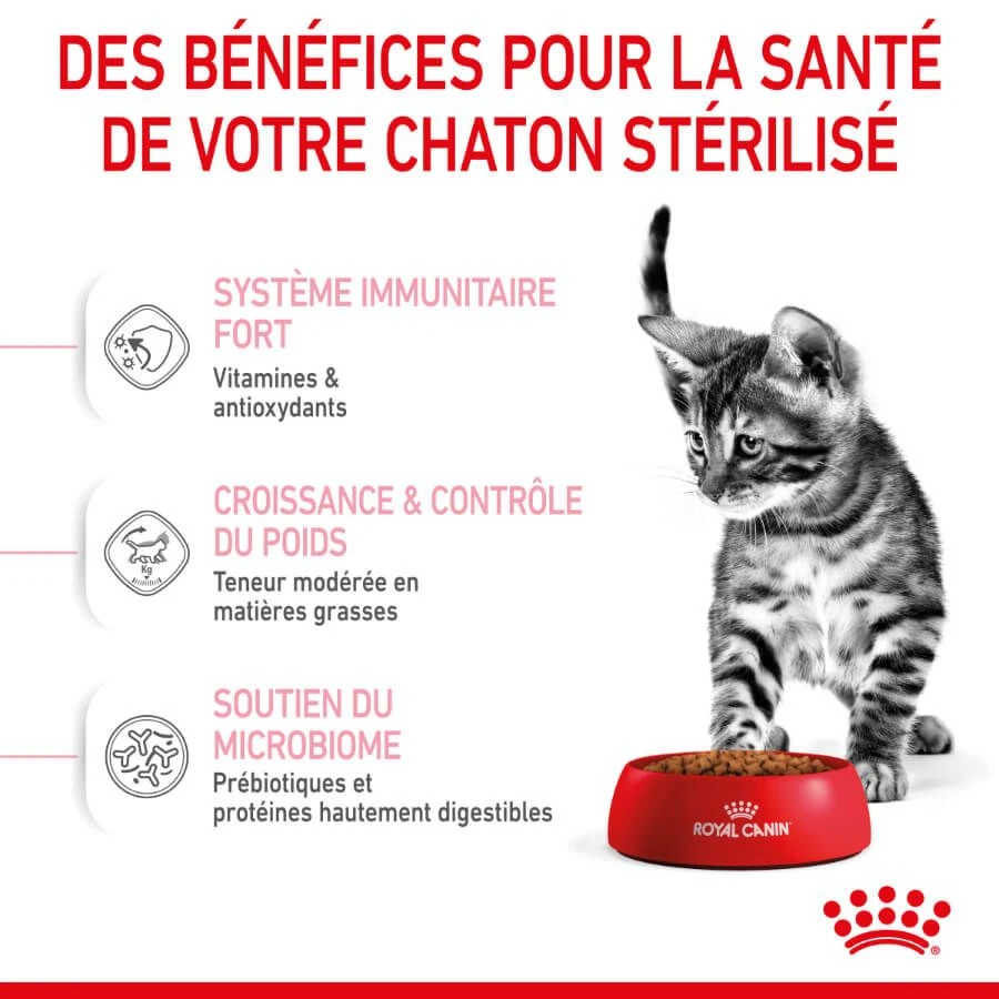 Royal Canin Feline Health Nutrition Kitten Sterilised 400 G 6 Royal Canin Feline Health Nutrition Kitten Sterilised 400 G – Image 4