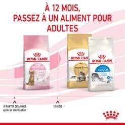 Royal Canin Feline Health Nutrition Kitten Sterilised 400 G 16 Royal Canin Feline Health Nutrition Kitten Sterilised 400 G -Animaux Fournitures Magasin 3182550805155 6