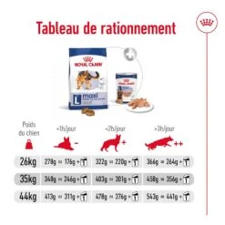 Royal Canin Maxi Adult 15 Kg 23 Royal Canin Maxi Adult 15 Kg -Animaux Fournitures Magasin 3182551055894 10 2