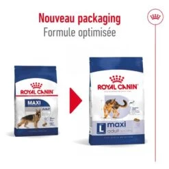 Royal Canin Maxi Adult 15 Kg 15 Royal Canin Maxi Adult 15 Kg -Animaux Fournitures Magasin 3182551055894 12 2
