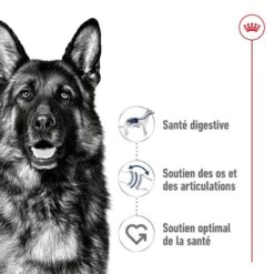 Royal Canin Maxi Adult 15 Kg 16 Royal Canin Maxi Adult 15 Kg -Animaux Fournitures Magasin 3182551055894 3 2