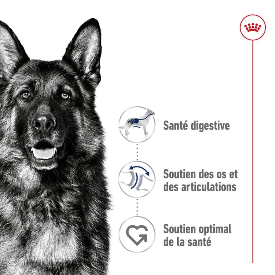 Royal Canin Maxi Adult 15 Kg 5 Royal Canin Maxi Adult 15 Kg – Image 3