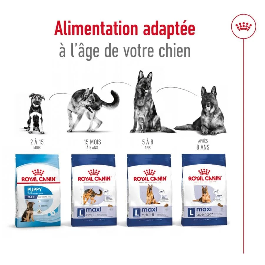 Royal Canin Maxi Adult 15 Kg 8 Royal Canin Maxi Adult 15 Kg – Image 6