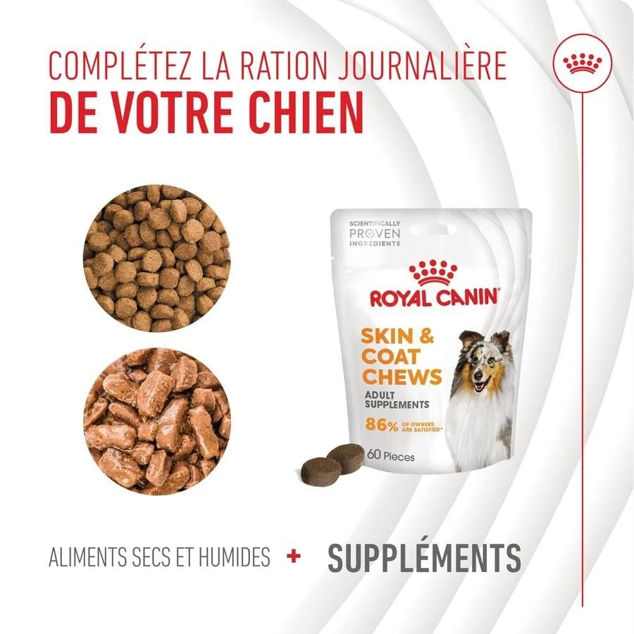 Royal Canin Chien Adult Skin & Coat Chews 240 G 4 Royal Canin Chien Adult Skin & Coat Chews 240 G – Image 2