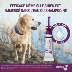 Vectra 3D Chien 10 à 25 Kg 3 Pipettes 13 Vectra 3D Chien 10 à 25 Kg 3 Pipettes -Animaux Fournitures Magasin 3411112079872.pt04 copie