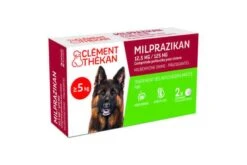 Clément Thékan Milprazikan Chien 2 Cps