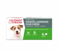 Clément Thékan Strantel Chien 4 Cps