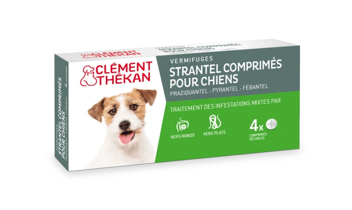 Clément Thékan Strantel Chien 4 Cps 4 Clément Thékan Strantel Chien 4 Cps – Image 2