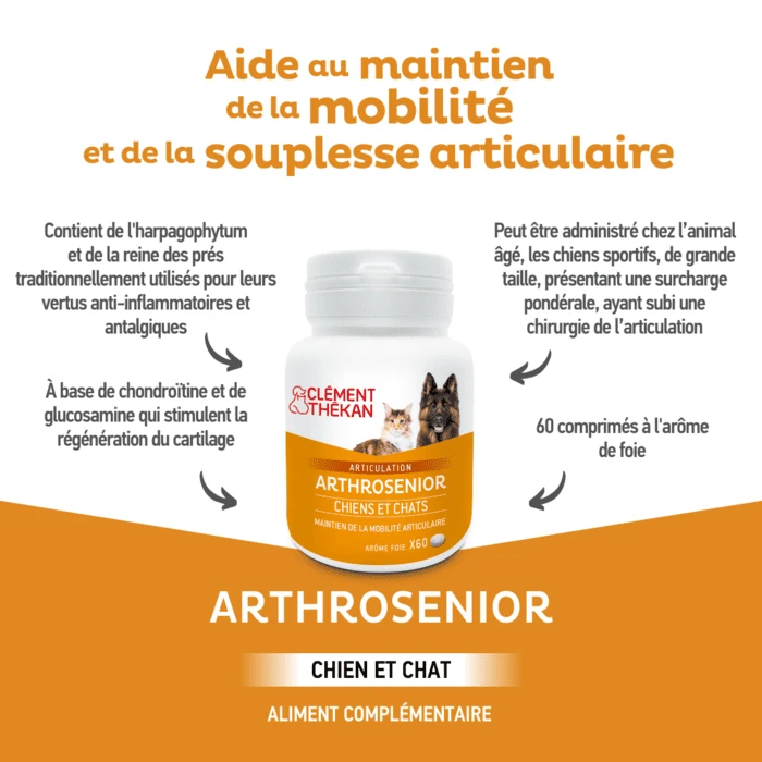 Clément Thékan Arthrosenior Chien 60 Cps 6 Clément Thékan Arthrosenior Chien 60 Cps – Image 4