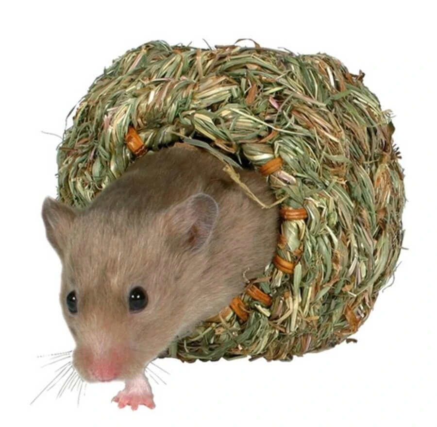Trixie Nid En Herbe Pour Hamsters Et Souris 3 Trixie Nid En Herbe Pour Hamsters Et Souris