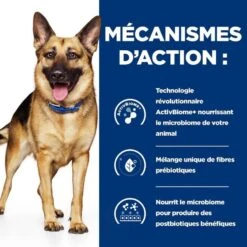 Hill's Prescription Diet Canine Gastrointestinal Biome 10 Kg 10 Hill's Prescription Diet Canine Gastrointestinal Biome 10 Kg -Animaux Fournitures Magasin 52742026855 5 prescription diet chien gastrointestinal biome croquettes poulet 1