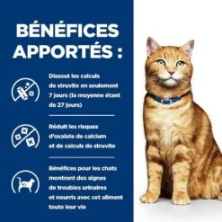 Hill's Prescription Diet Feline C/D Multicare Poulet 12 Kg 9 Hill's Prescription Diet Feline C/D Multicare Poulet 12 Kg -Animaux Fournitures Magasin 52742042213 4 prescription diet chat c d multicare croquettes poulet 1 1 1