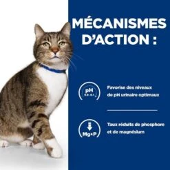 Hill's Prescription Diet Feline S/D Urinary 3 Kg 10 Hill's Prescription Diet Feline S/D Urinary 3 Kg -Animaux Fournitures Magasin 52742042473 4 prescription diet chat s d croquettes poulet 1 1