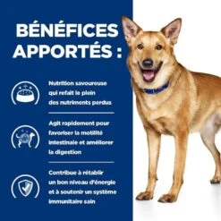 Hill's Prescription Diet Canine I/D 4 Kg 7 Hill's Prescription Diet Canine I/D 4 Kg -Animaux Fournitures Magasin 52742043166 4 prescription diet chien i d croquettes 1 1