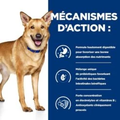 Hill's Prescription Diet Canine I/D 4 Kg 8 Hill's Prescription Diet Canine I/D 4 Kg -Animaux Fournitures Magasin 52742043166 5 prescription diet chien i d croquettes 1 1