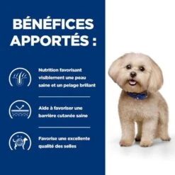 Hill's Prescription Diet Canine Z/D MINI AB+ 1 Kg 10 Hill's Prescription Diet Canine Z/D MINI AB+ 1 Kg -Animaux Fournitures Magasin 52742045245 3 prescription diet chien z d mini croquettes